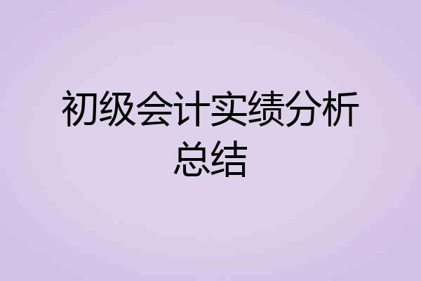 初级会计实绩分析总结