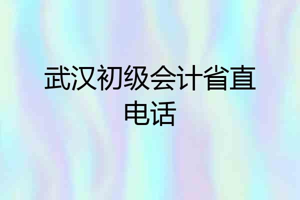 武汉初级会计省直电话