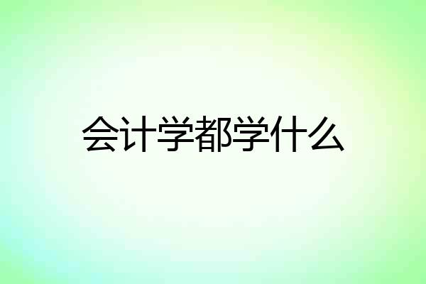 会计学都学什么
