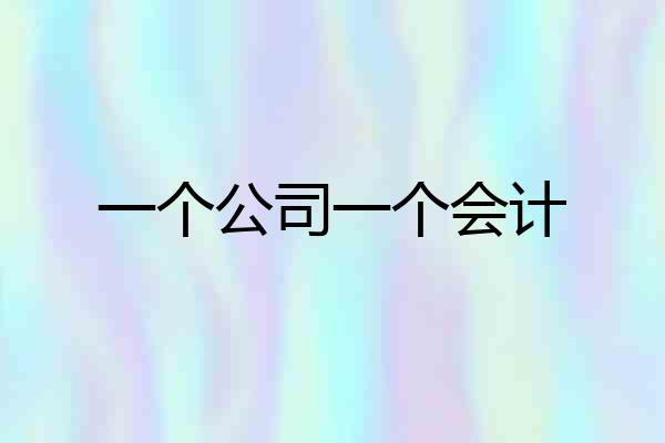 一个公司一个会计