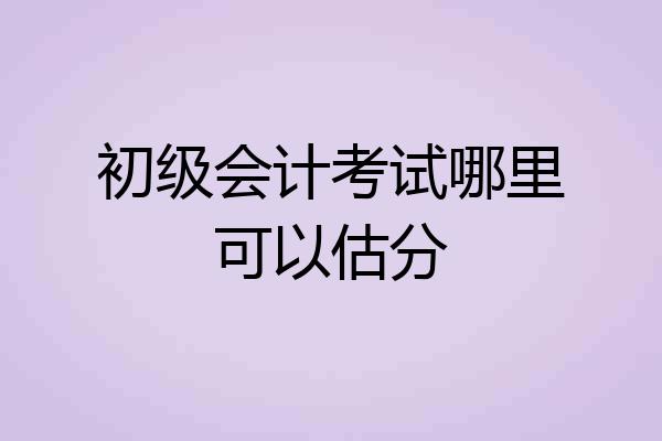 初级会计考试哪里可以估分