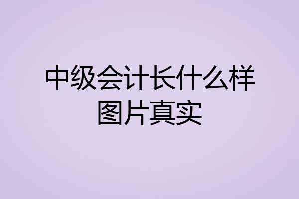 中级会计长什么样图片真实