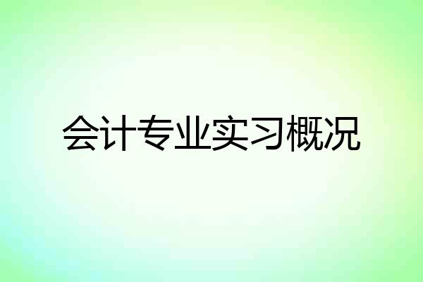 会计专业实习概况