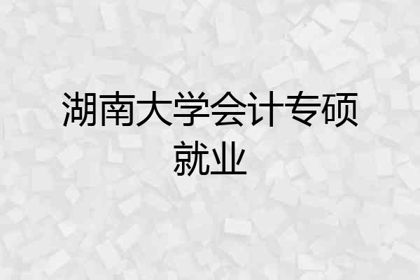 湖南大学会计专硕就业