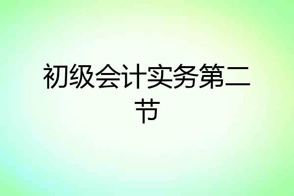 初级会计实务第二节