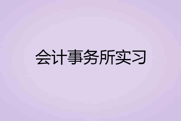 会计事务所实习