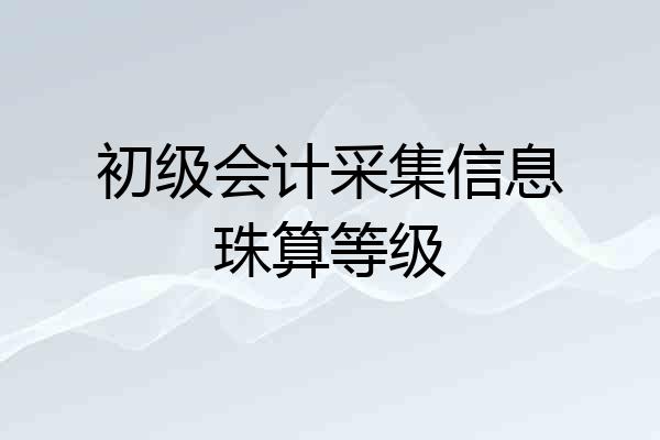 初级会计采集信息珠算等级