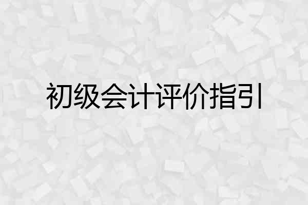 初级会计评价指引