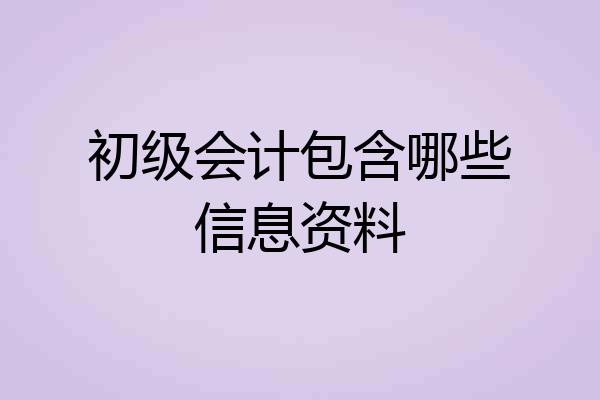 初级会计包含哪些信息资料