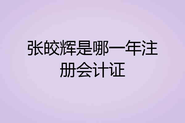 张皎辉是哪一年注册会计证