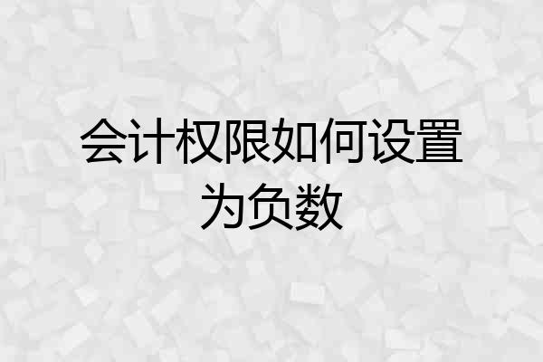 会计权限如何设置为负数