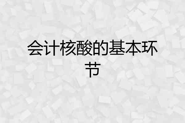 会计核酸的基本环节