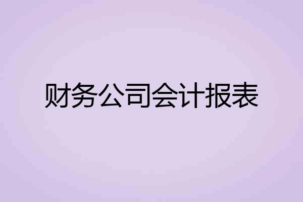 财务公司会计报表