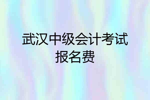 武汉中级会计考试报名费
