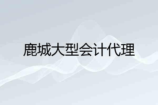 鹿城大型会计代理