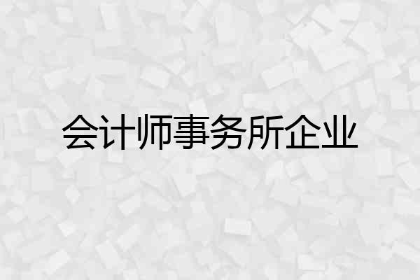 会计师事务所企业