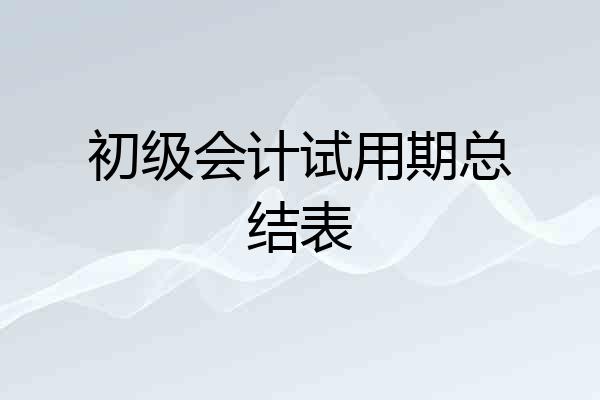 初级会计试用期总结表