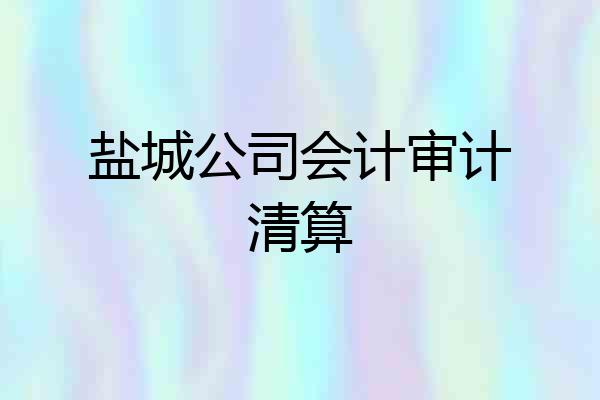 盐城公司会计审计清算
