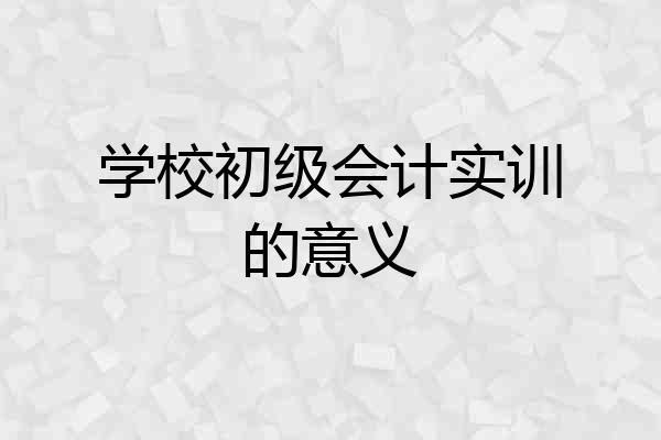 学校初级会计实训的意义