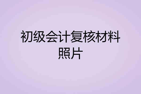 初级会计复核材料照片