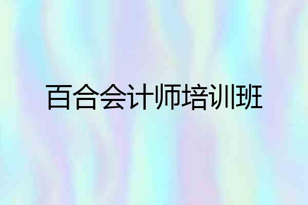 百合会计师培训班