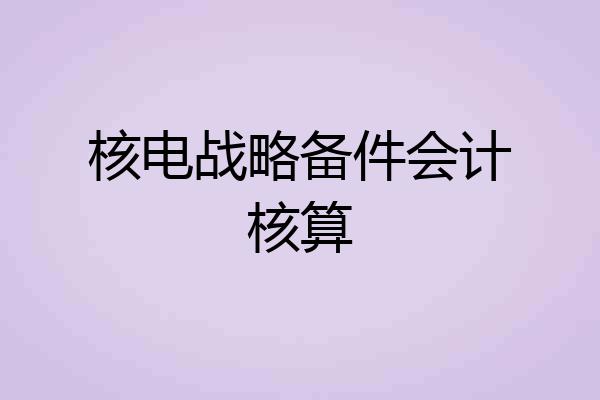 核电战略备件会计核算