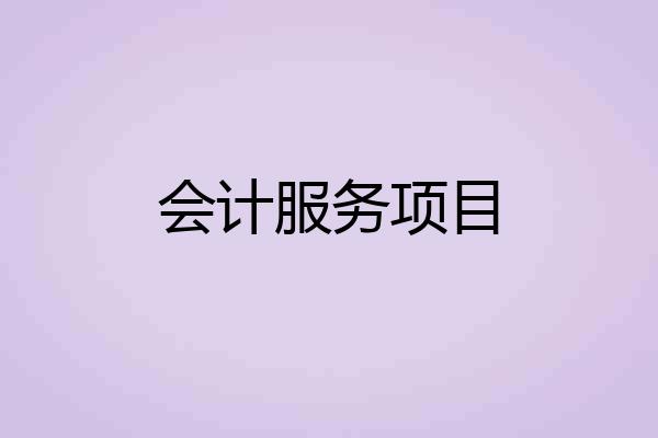会计服务项目
