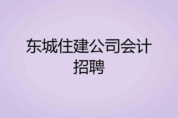 东城住建公司会计招聘
