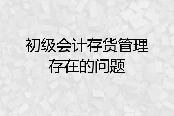 初级会计存货管理存在的问题