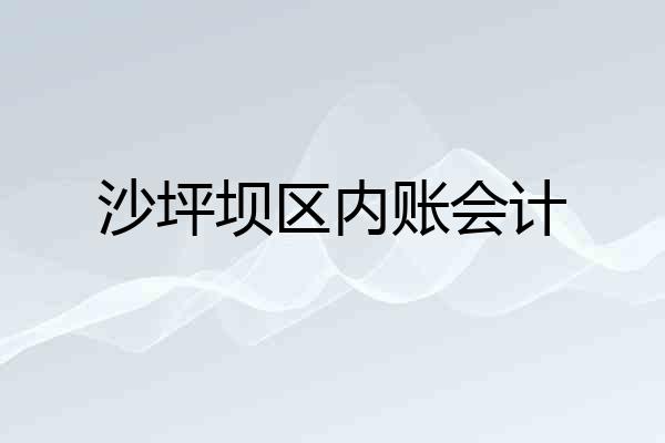 沙坪坝区内账会计