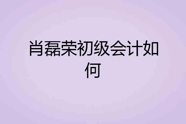 肖磊荣初级会计如何