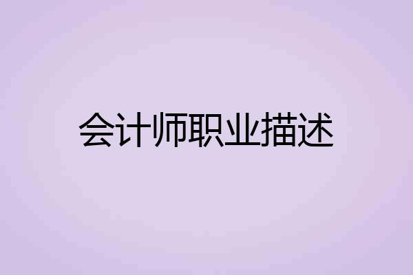 会计师职业描述