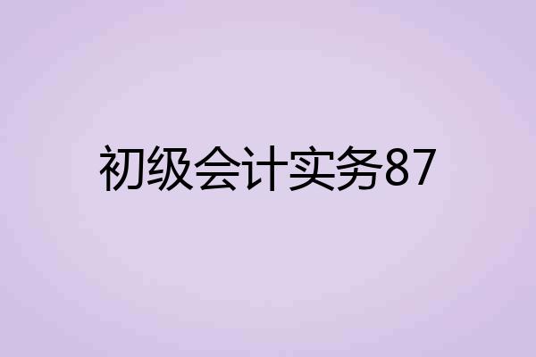 初级会计实务87