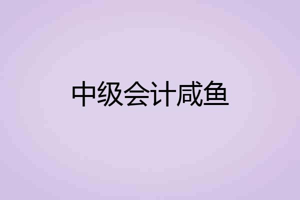 中级会计咸鱼