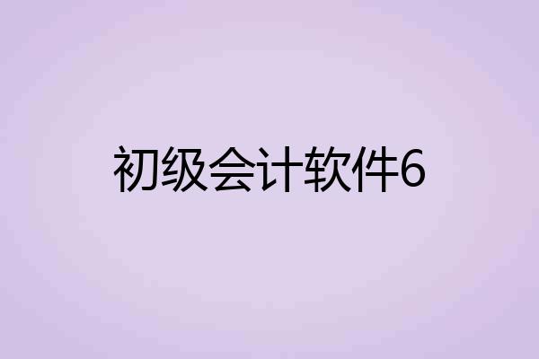 初级会计软件6