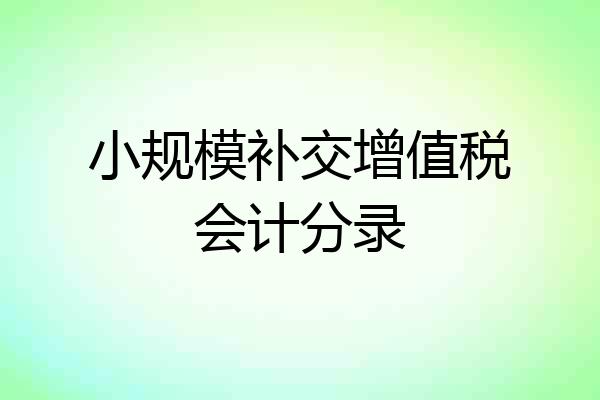 小规模补交增值税会计分录