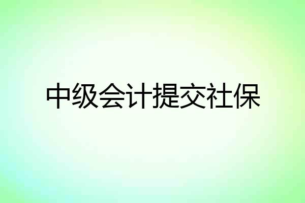 中级会计提交社保