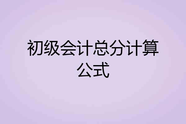 初级会计总分计算公式