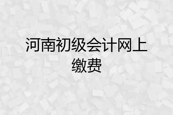 河南初级会计网上缴费