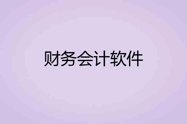 财务会计软件