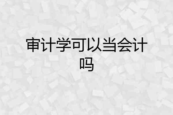 审计学可以当会计吗