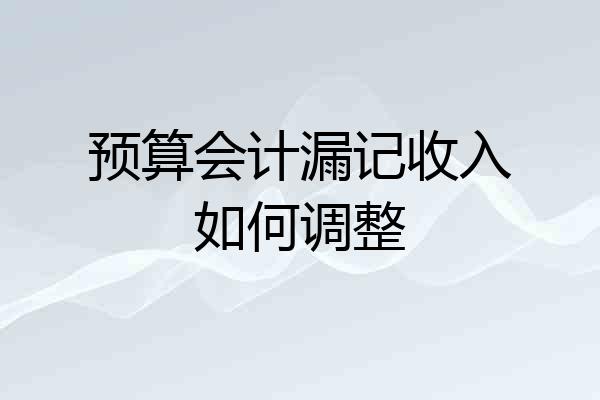 预算会计漏记收入如何调整