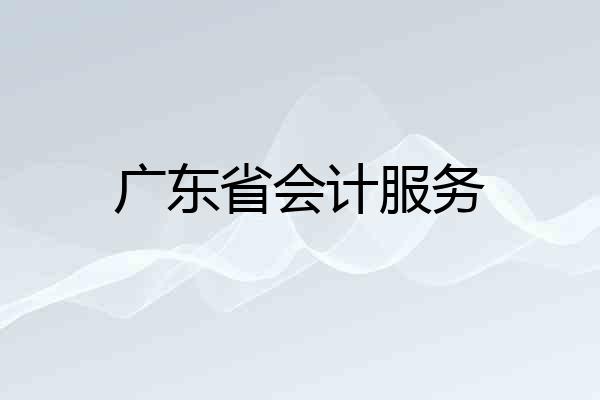 广东省会计服务