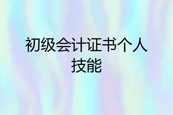 初级会计证书个人技能