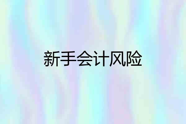 新手会计风险