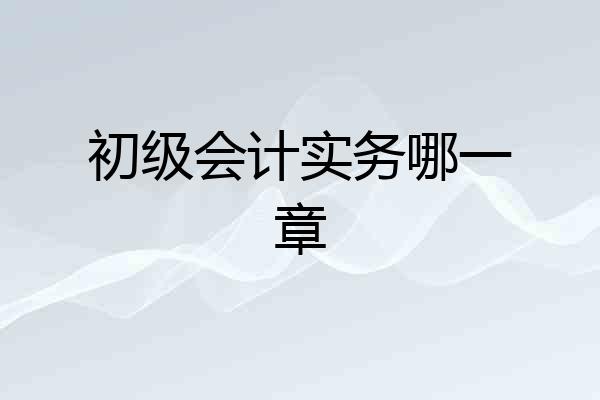 初级会计实务哪一章
