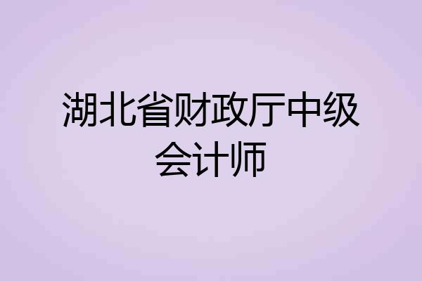 湖北省财政厅中级会计师