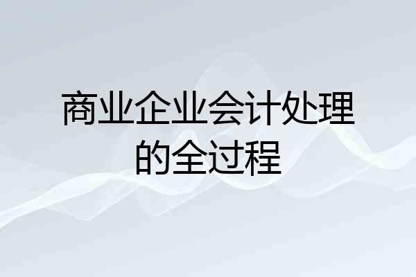 商业企业会计处理的全过程