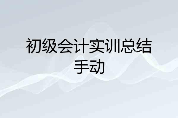 初级会计实训总结手动