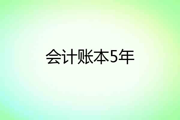 会计账本5年
